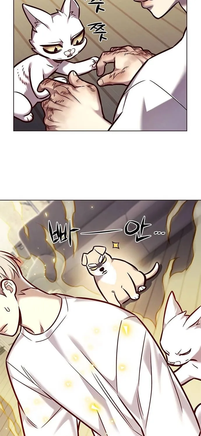 Eleceed Chapter 284 page 47 - 