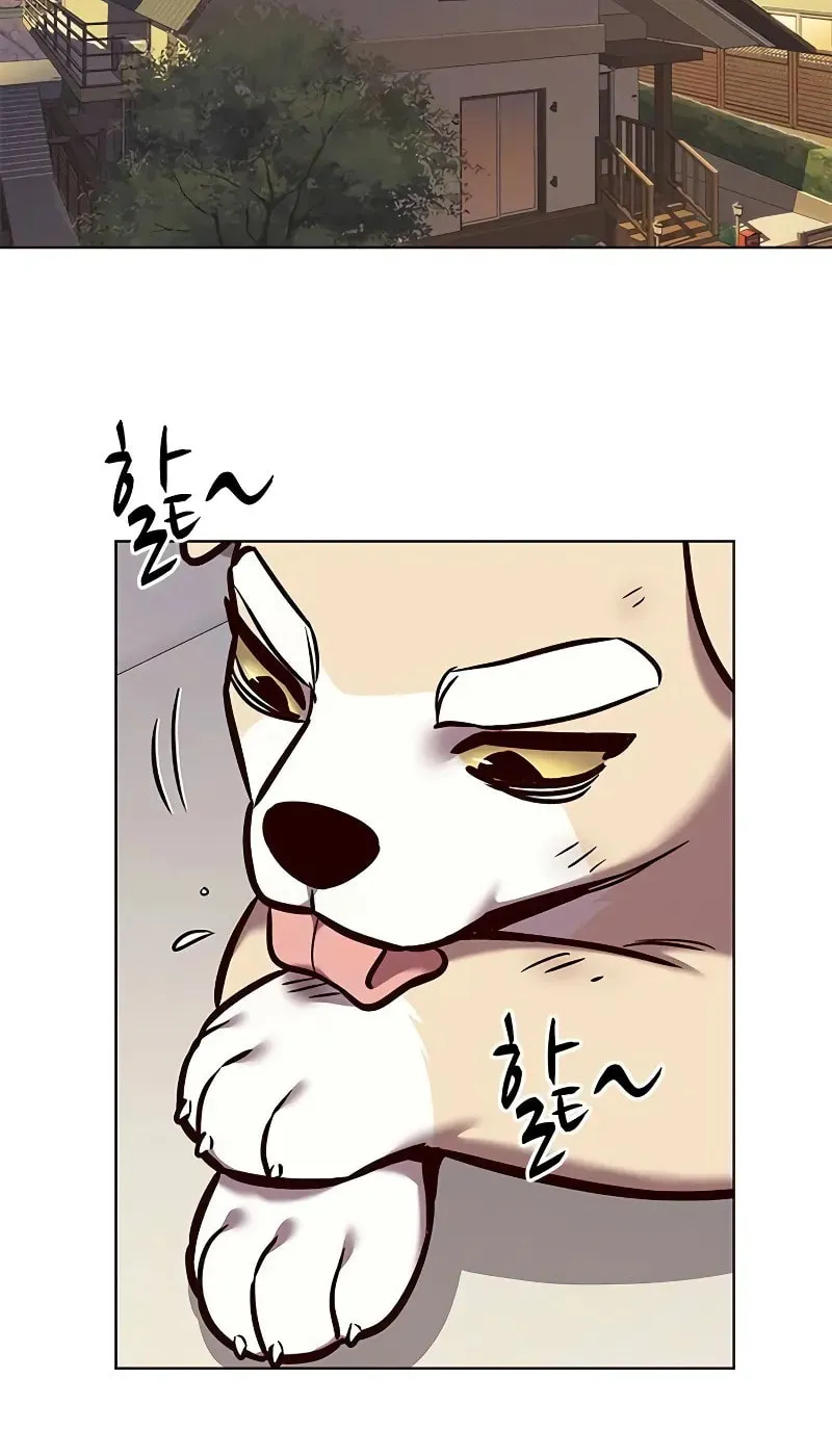 Eleceed Chapter 294 page 43 - 