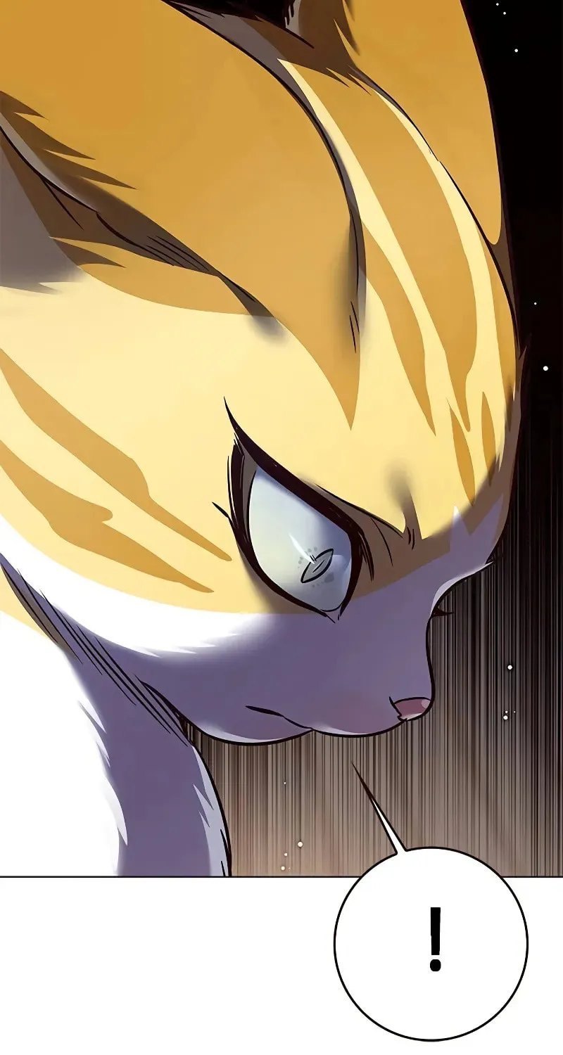 Eleceed Chapter 304 page 11 - 