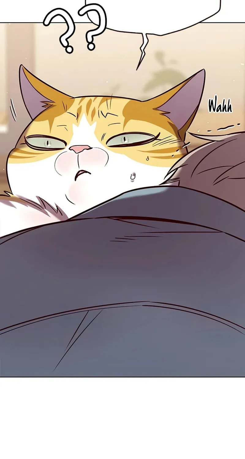 Eleceed Chapter 323 page 111 - 