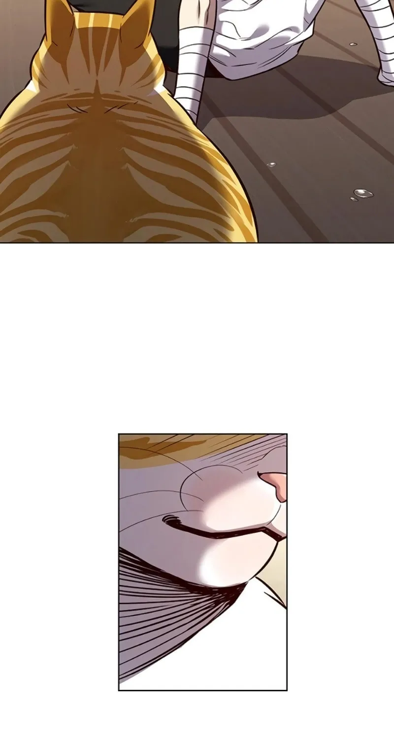Eleceed Chapter 329 page 108 - 