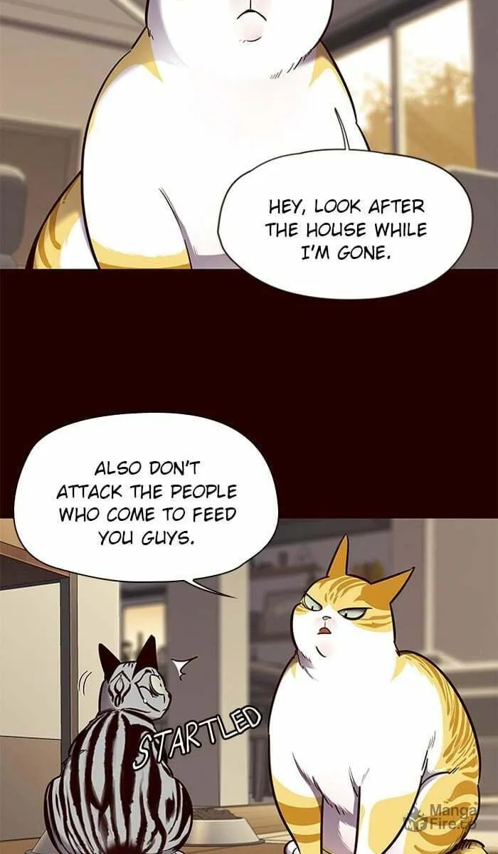 Eleceed Chapter 67 page 35 - 