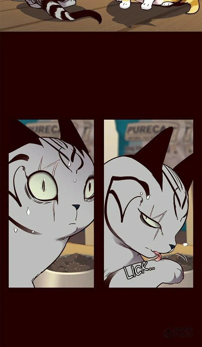 Eleceed Chapter 67 page 36 - 