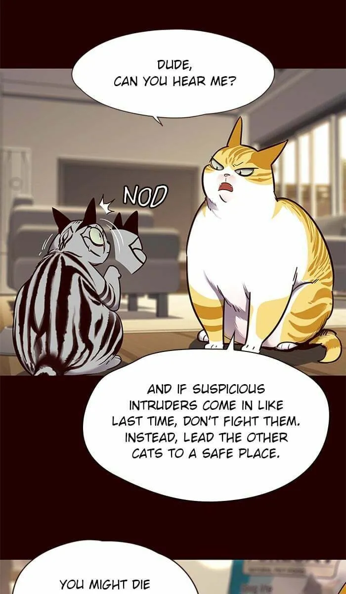 Eleceed Chapter 67 page 37 - 