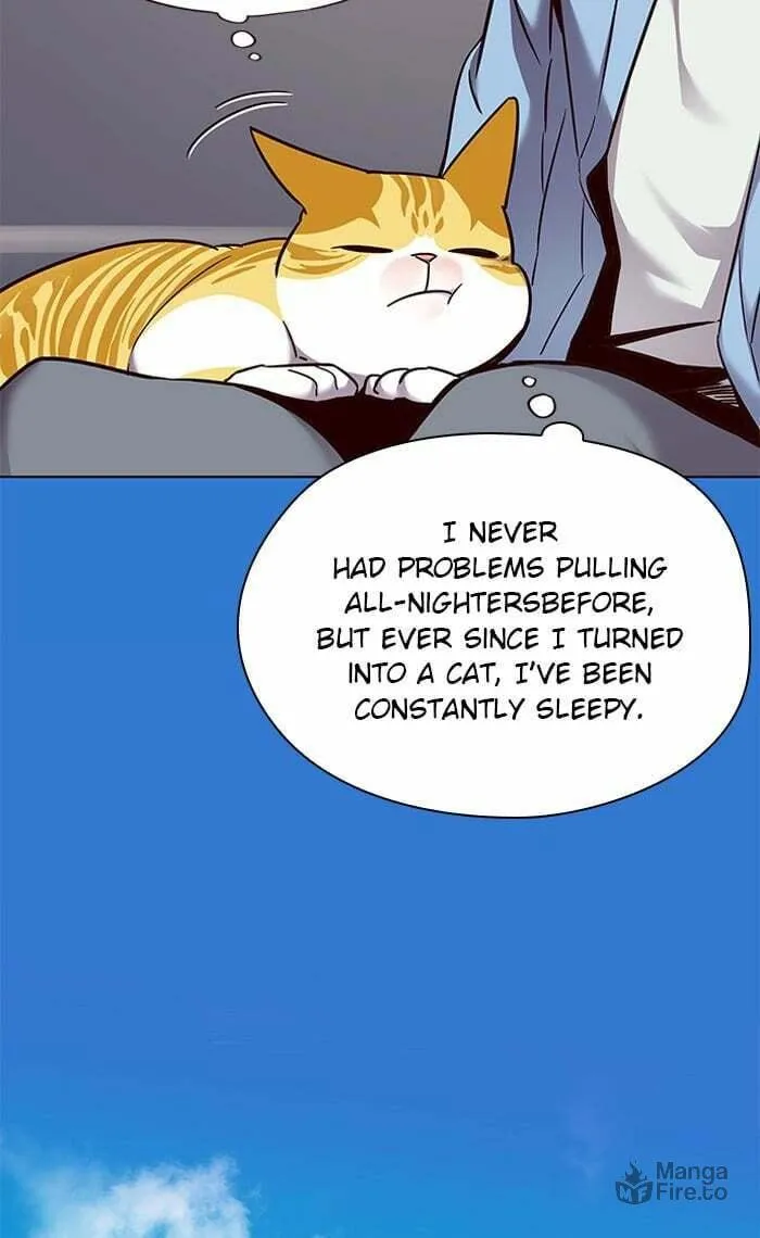 Eleceed Chapter 67 page 45 - 