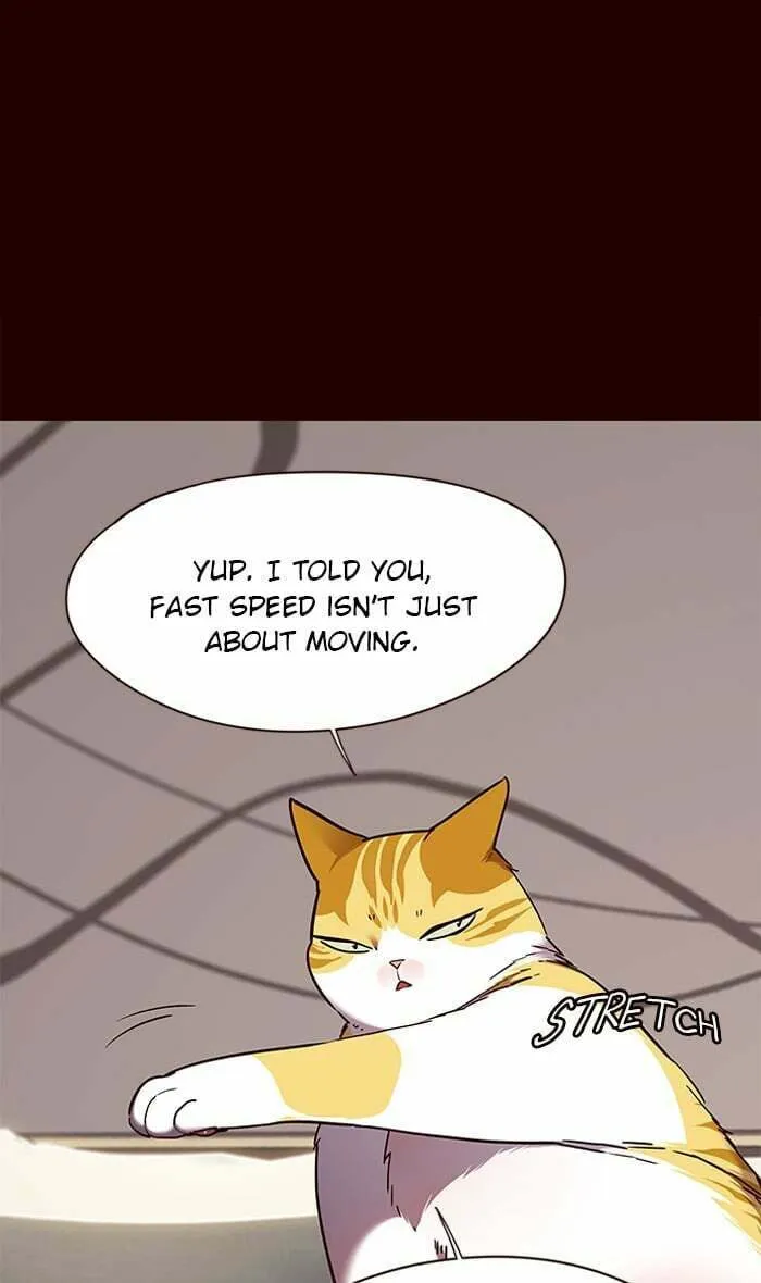 Eleceed Chapter 87 page 53 - 