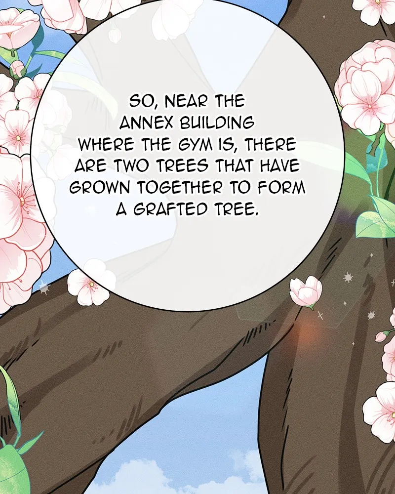 Electrifying Confession Chapter 2 page 52 - 