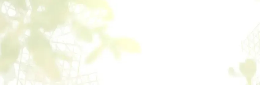 Embrace My Shadow Chapter 493 page 11 - 