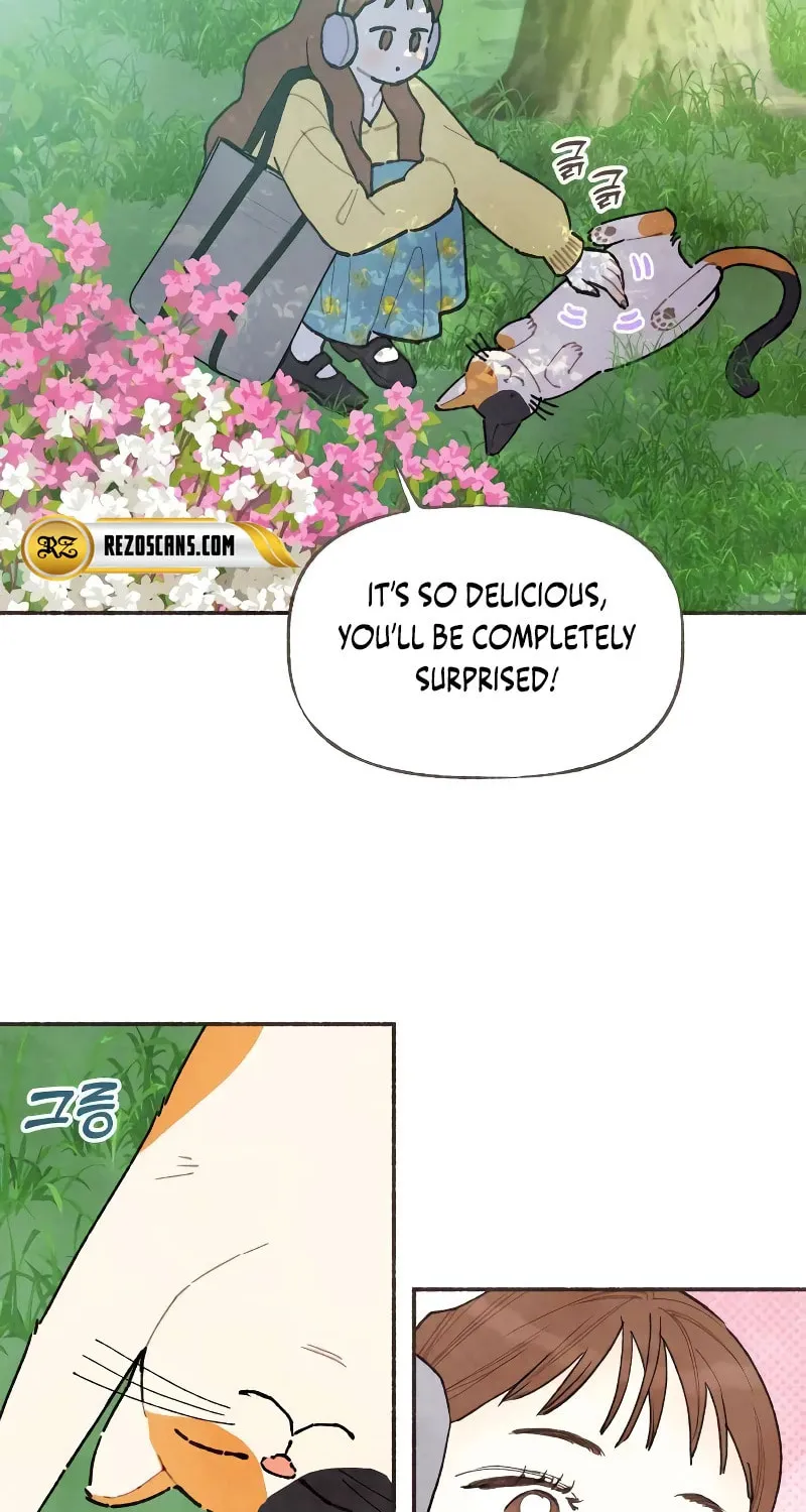 Emotional Transference Chapter 1 page 12 - 
