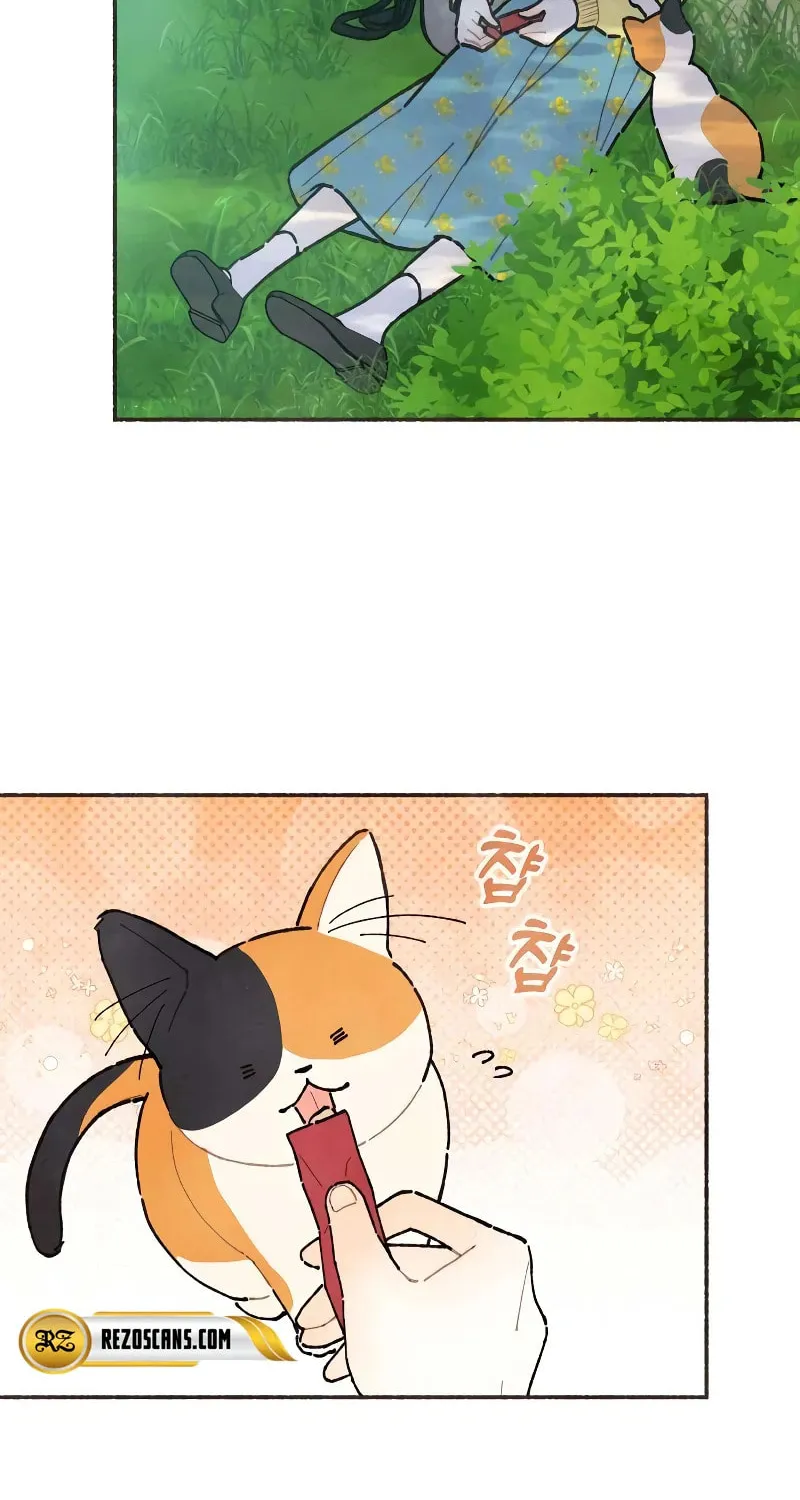 Emotional Transference Chapter 1 page 14 - 