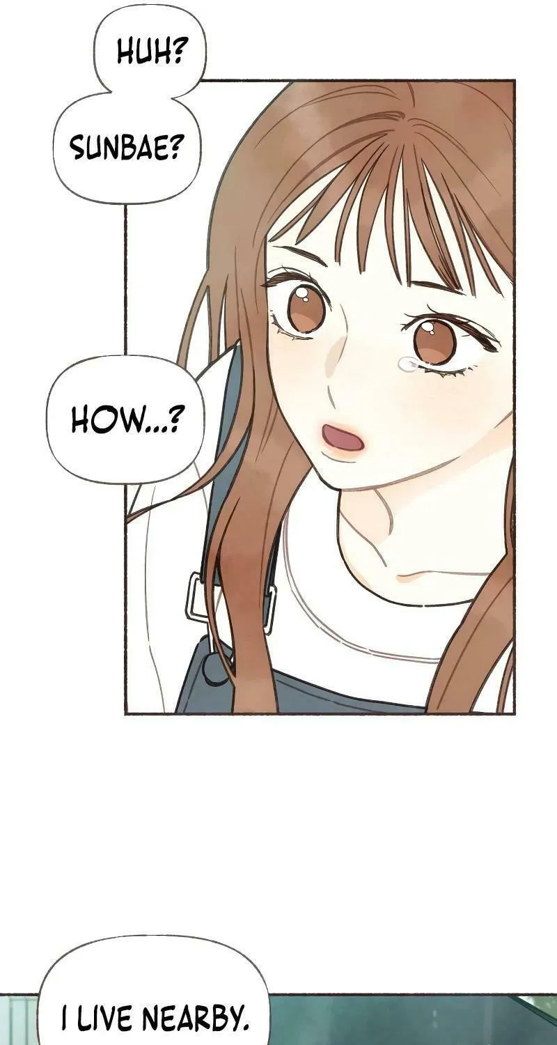 Emotional Transference Chapter 13 page 13 - 
