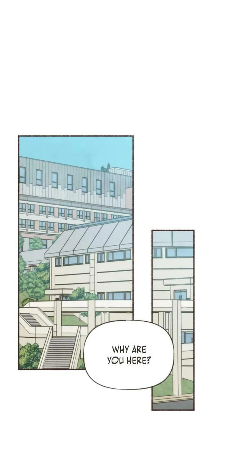 Emotional Transference Chapter 16 page 37 - 