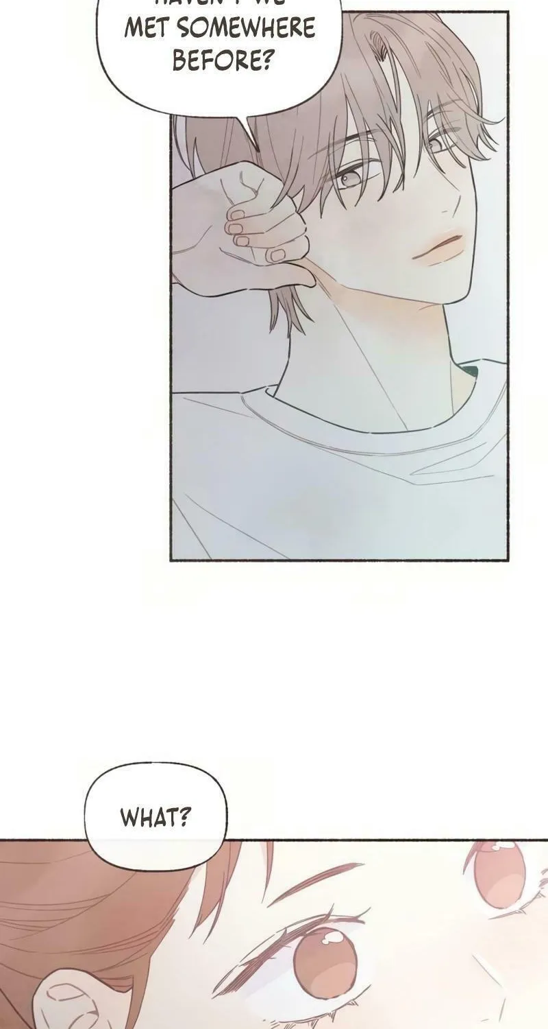Emotional Transference Chapter 19 page 48 - 