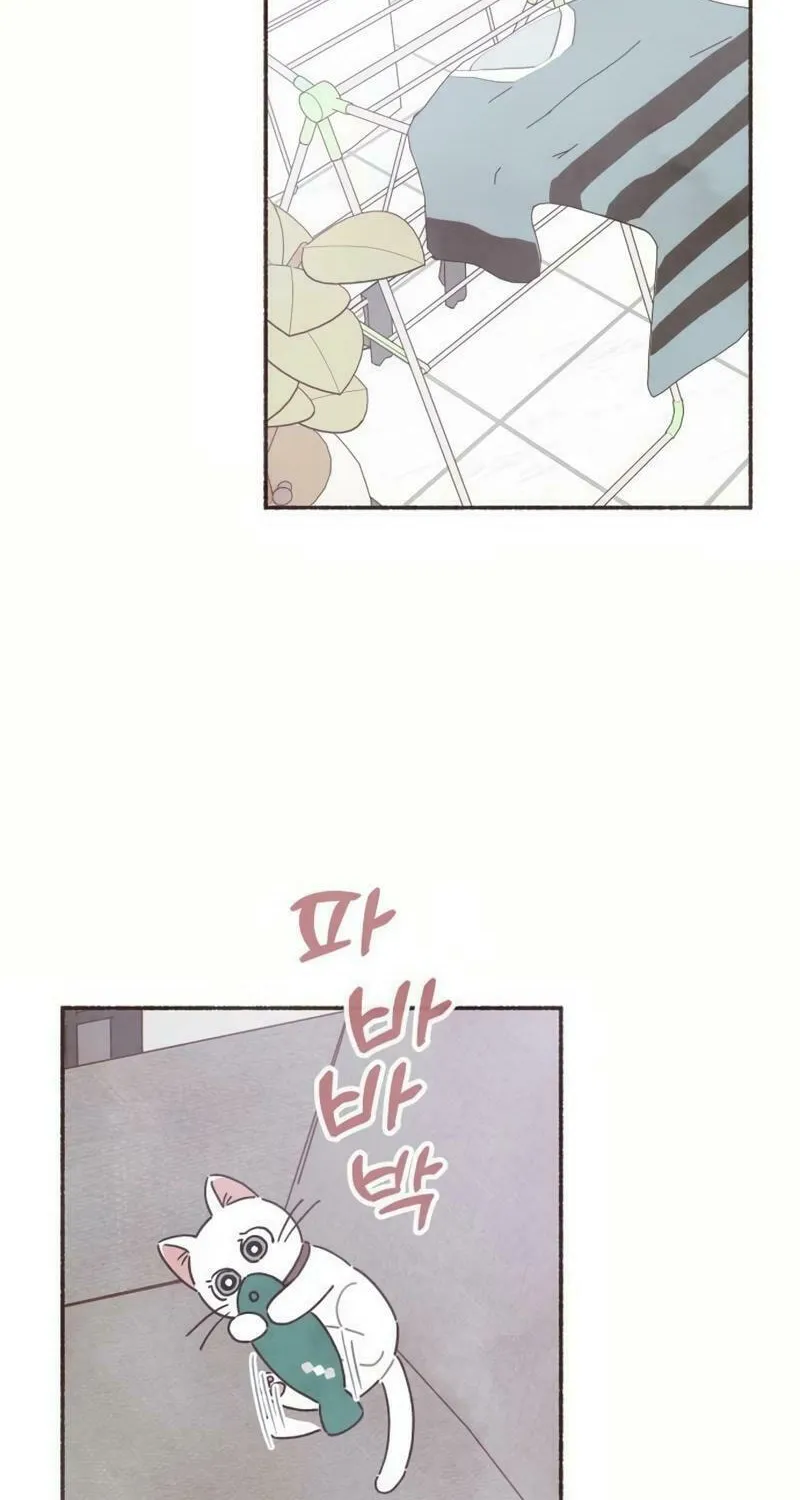 Emotional Transference Chapter 23 page 31 - 
