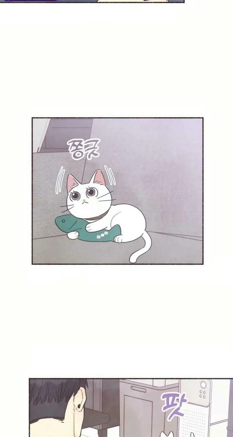 Emotional Transference Chapter 23 page 35 - 