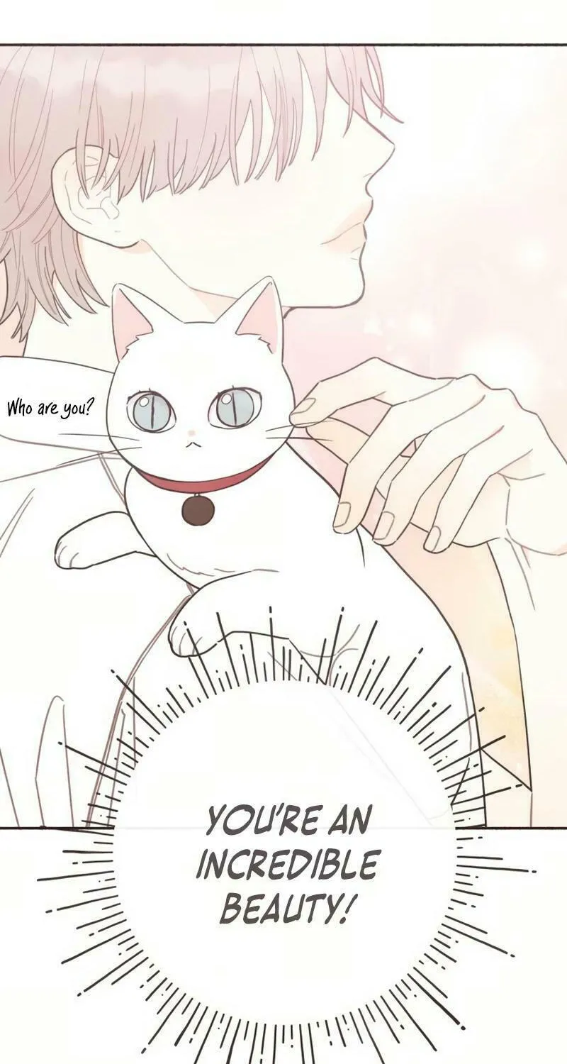 Emotional Transference Chapter 26 page 16 - 