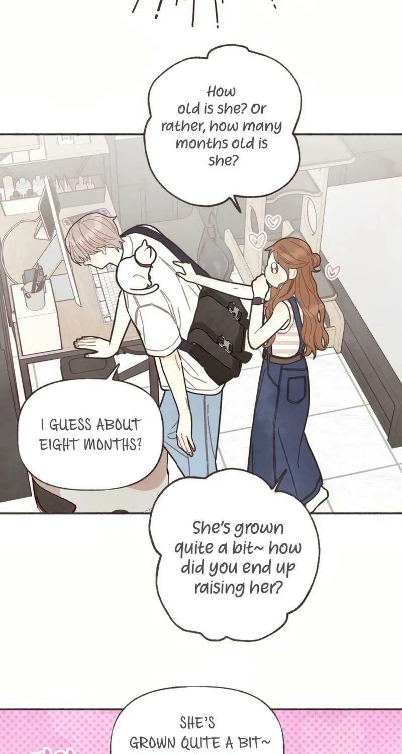 Emotional Transference Chapter 26 page 17 - 