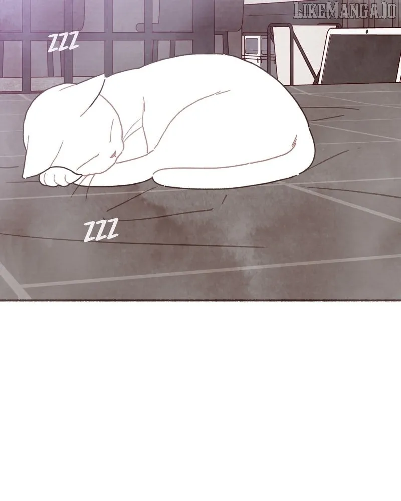 Emotional Transference Chapter 37 page 23 - 