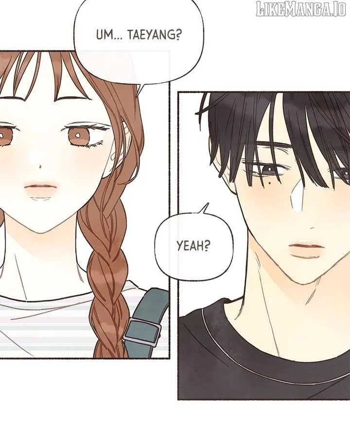 Emotional Transference Chapter 42 page 63 - 