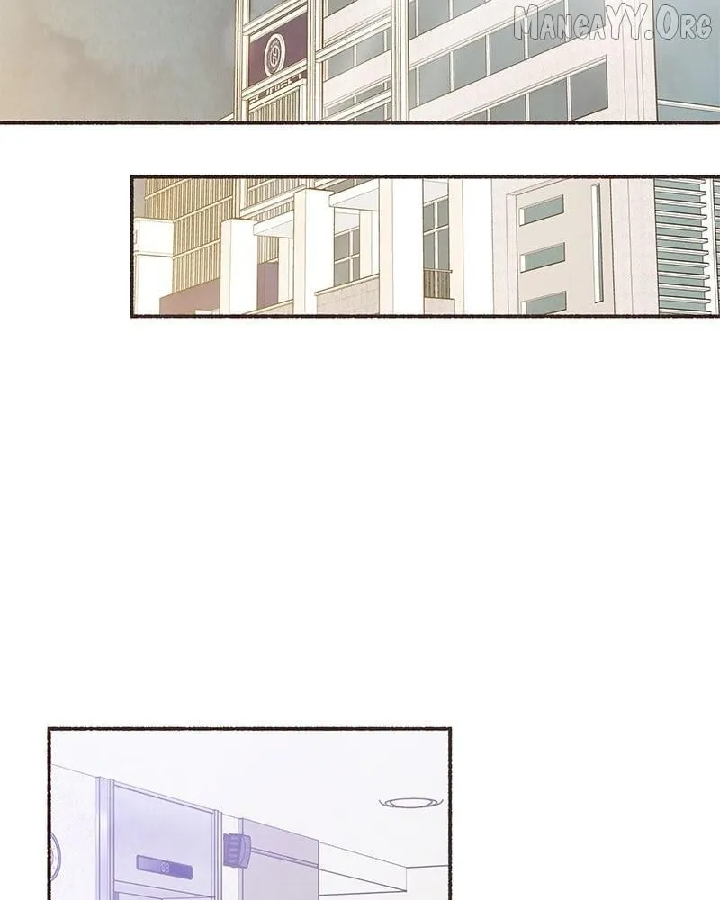 Emotional Transference Chapter 46 page 24 - 