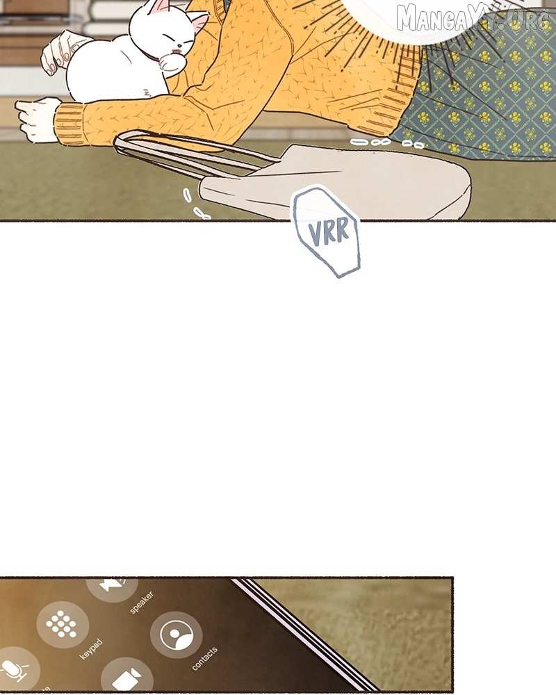 Emotional Transference Chapter 53 page 47 - 