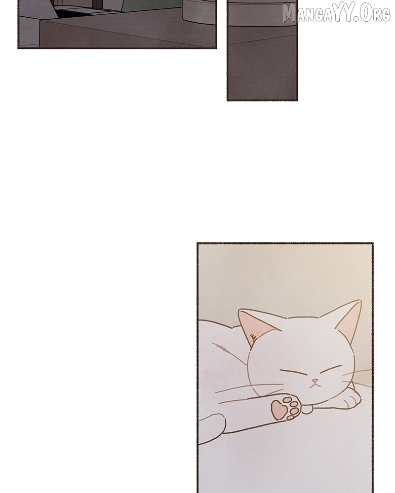 Emotional Transference Chapter 55 page 2 - 