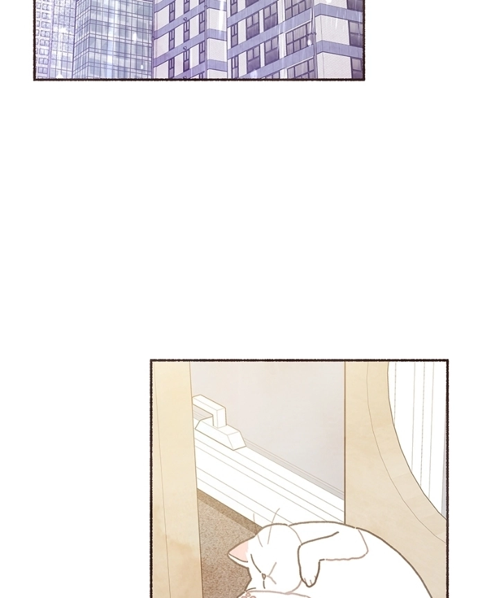 Emotional Transference Chapter 60 page 12 - 