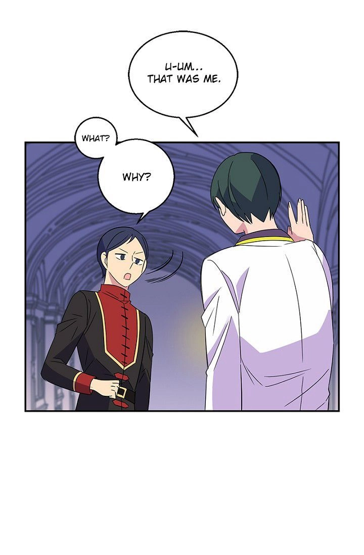 Emperor, Stay Here, Your Knight