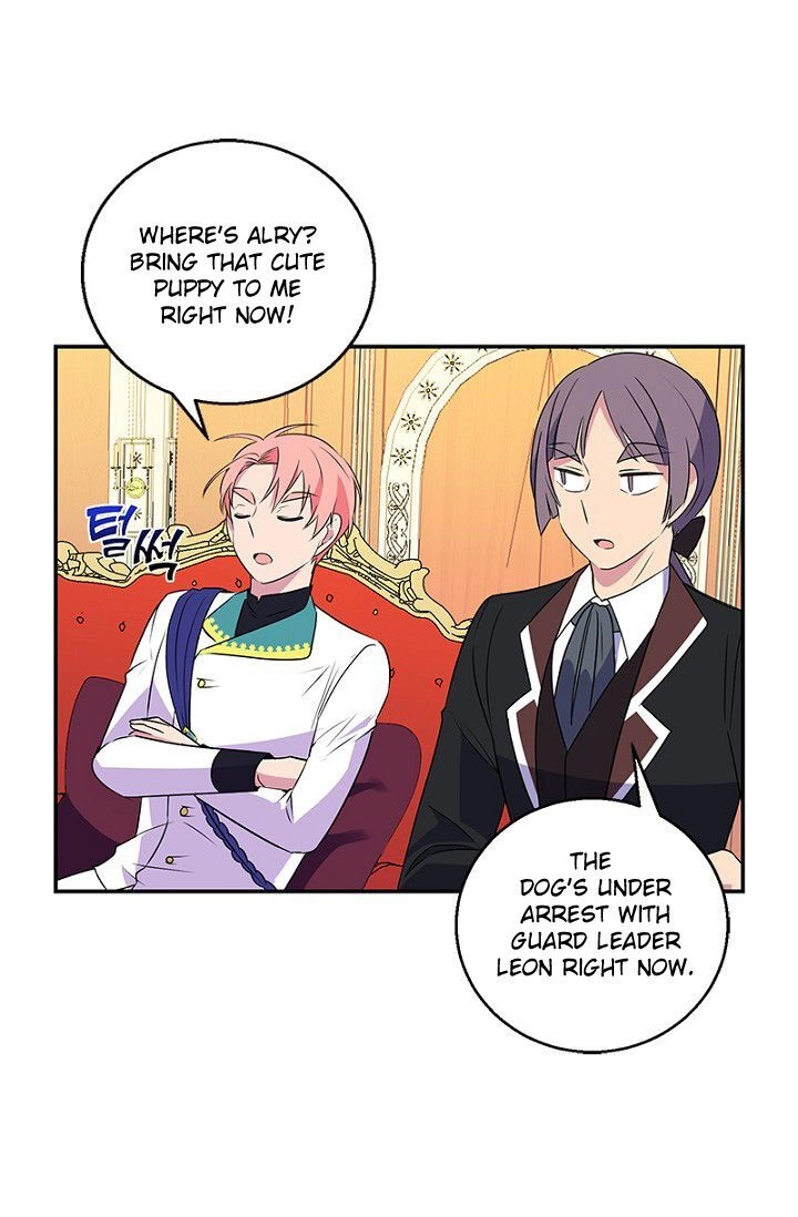 Emperor, Stay Here, Your Knight