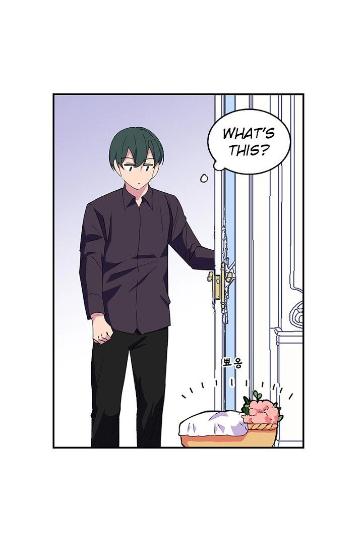Emperor, Stay Here, Your Knight