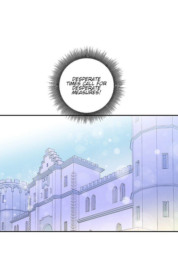 Emperor, Stay Here, Your Knight