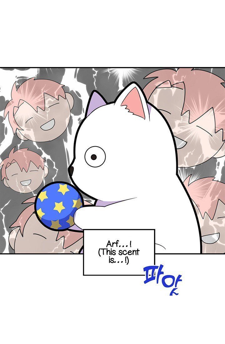 Emperor, Stay Here, Your Knight