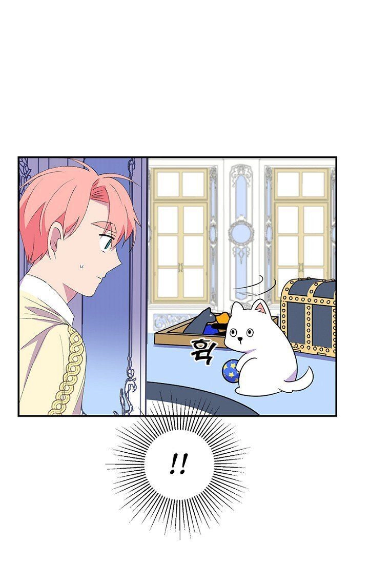 Emperor, Stay Here, Your Knight