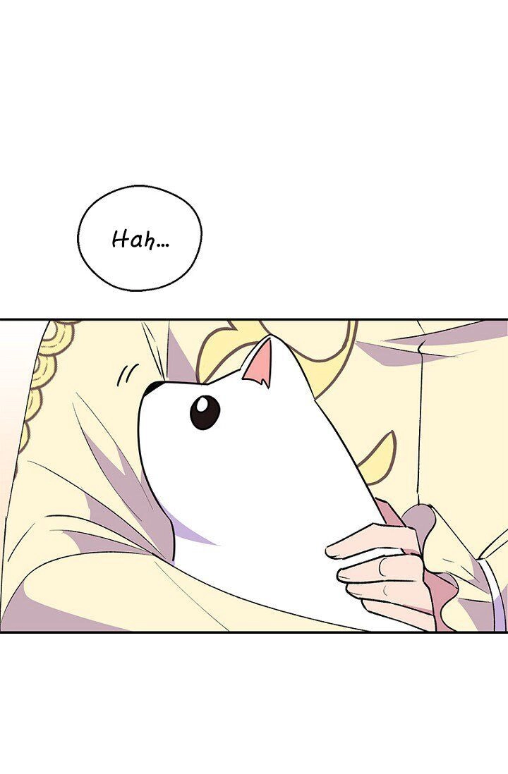 Emperor, Stay Here, Your Knight