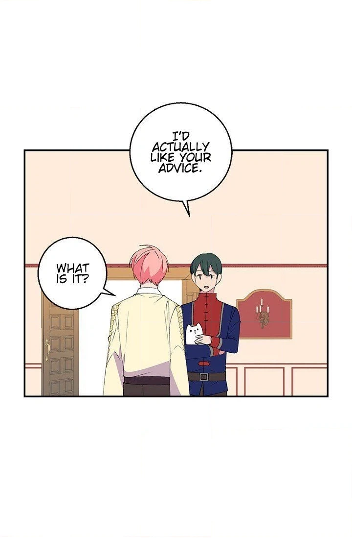 Emperor, Stay Here, Your Knight