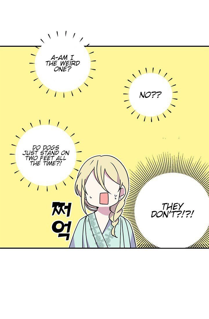 Emperor, Stay Here, Your Knight