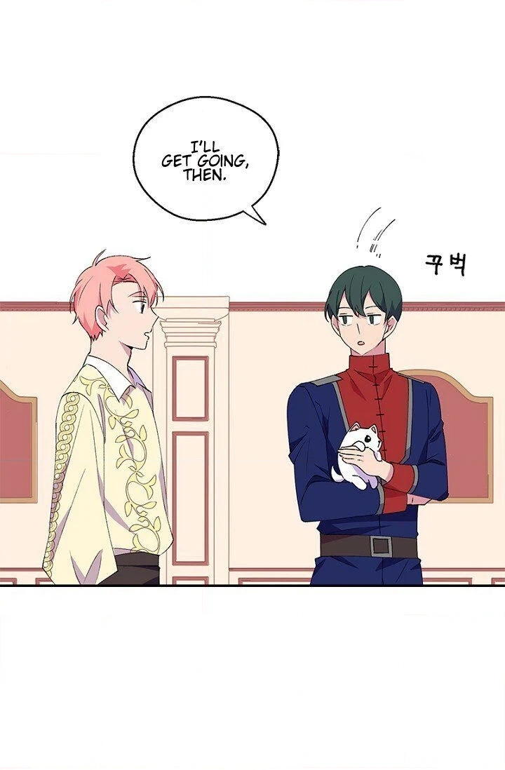 Emperor, Stay Here, Your Knight