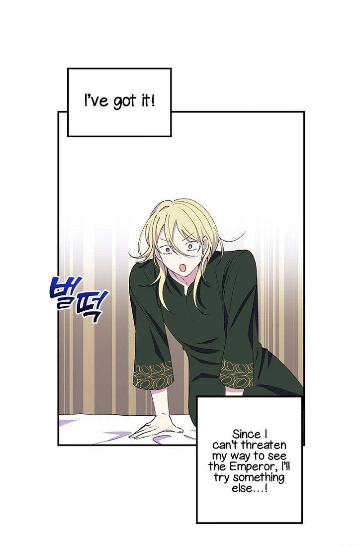 Emperor, Stay Here, Your Knight