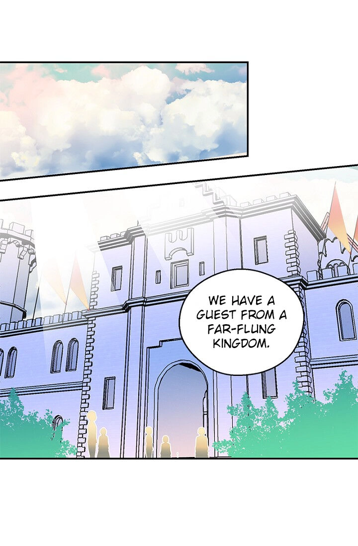 Emperor, Stay Here, Your Knight