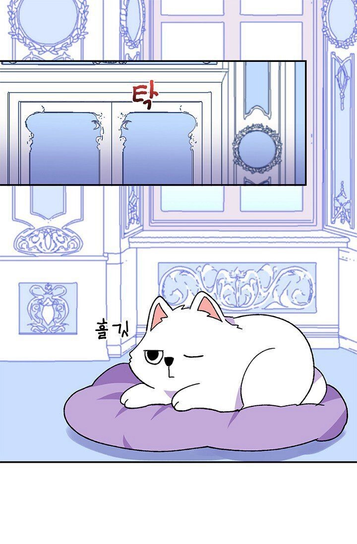 Emperor, Stay Here, Your Knight