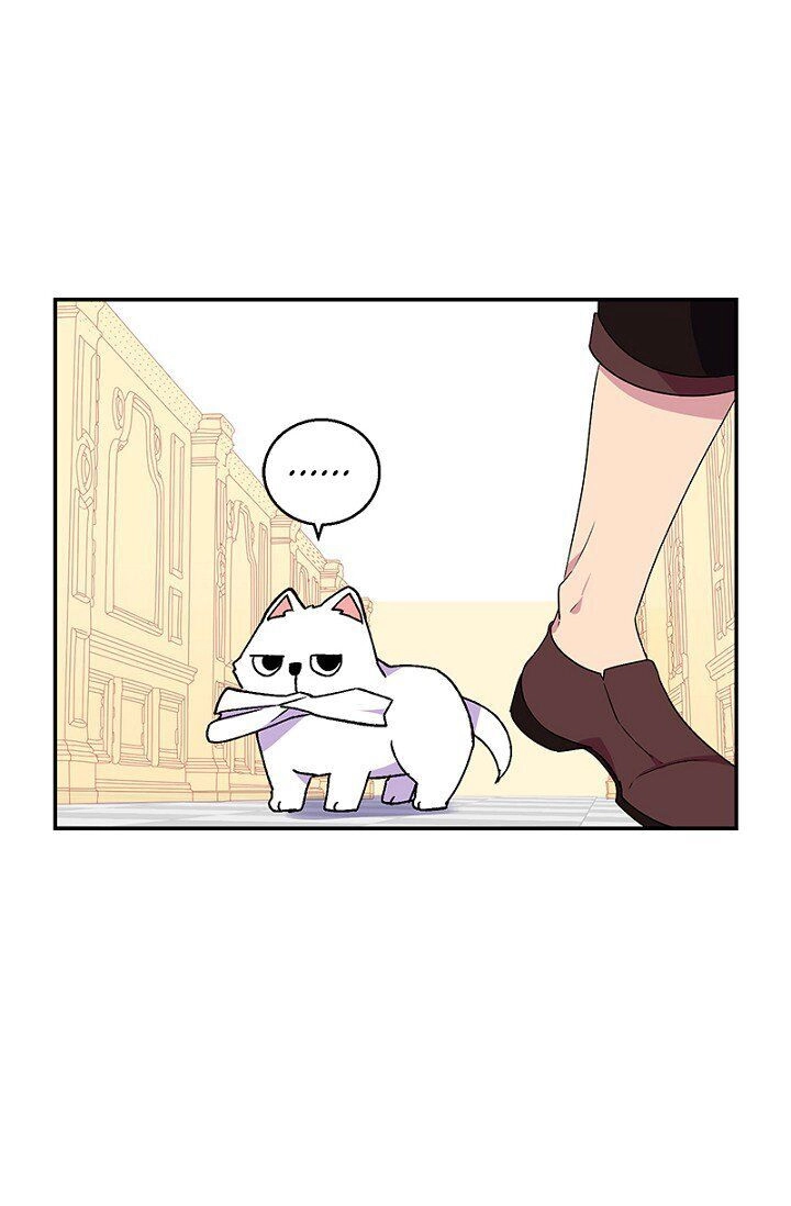 Emperor, Stay Here, Your Knight