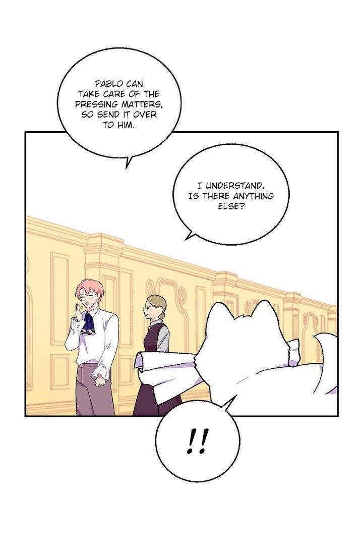 Emperor, Stay Here, Your Knight
