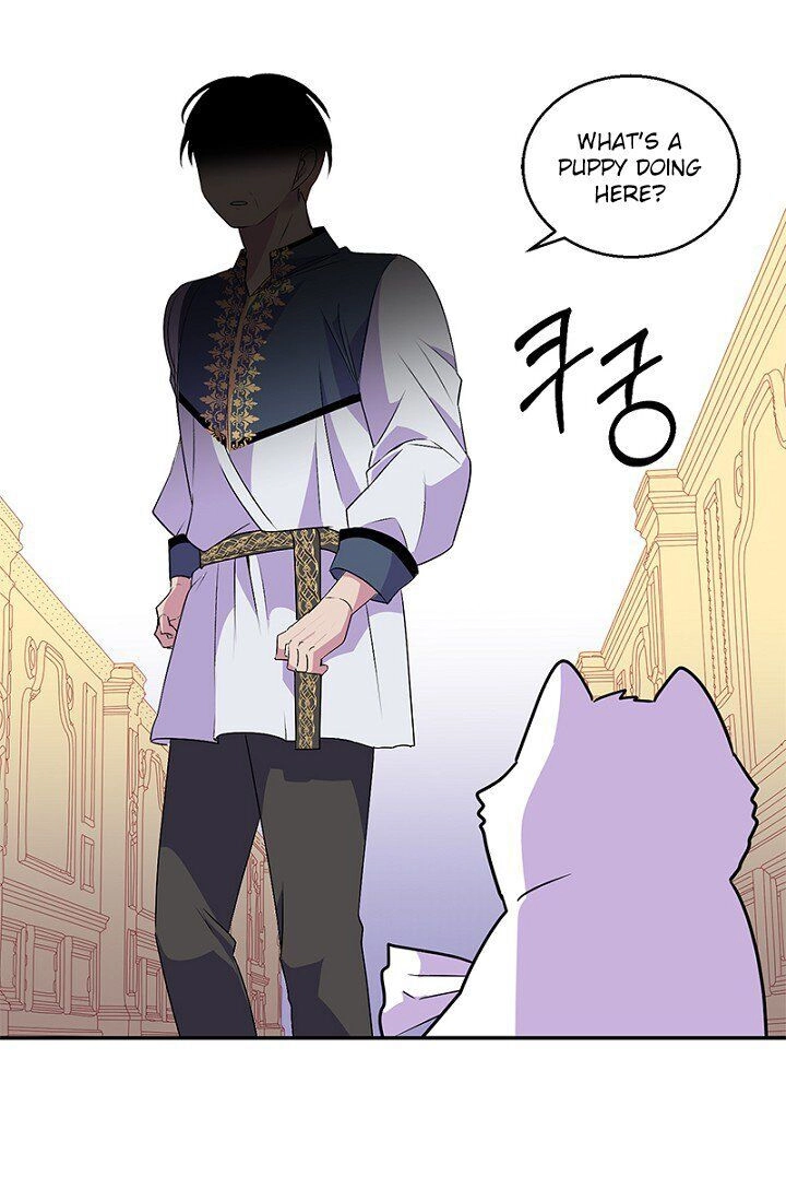 Emperor, Stay Here, Your Knight
