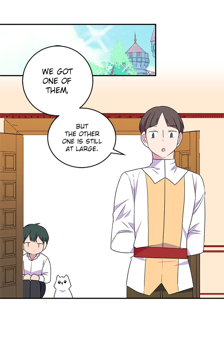 Emperor, Stay Here, Your Knight