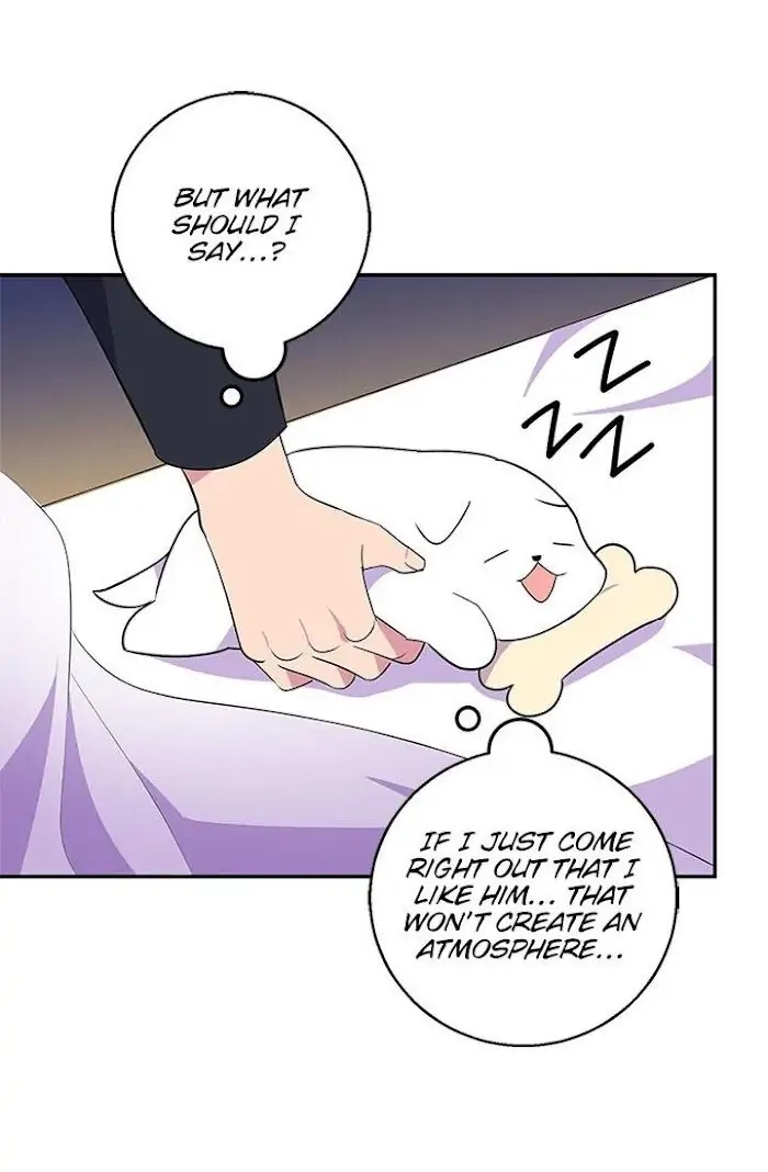 Emperor, Stay Here, Your Knight