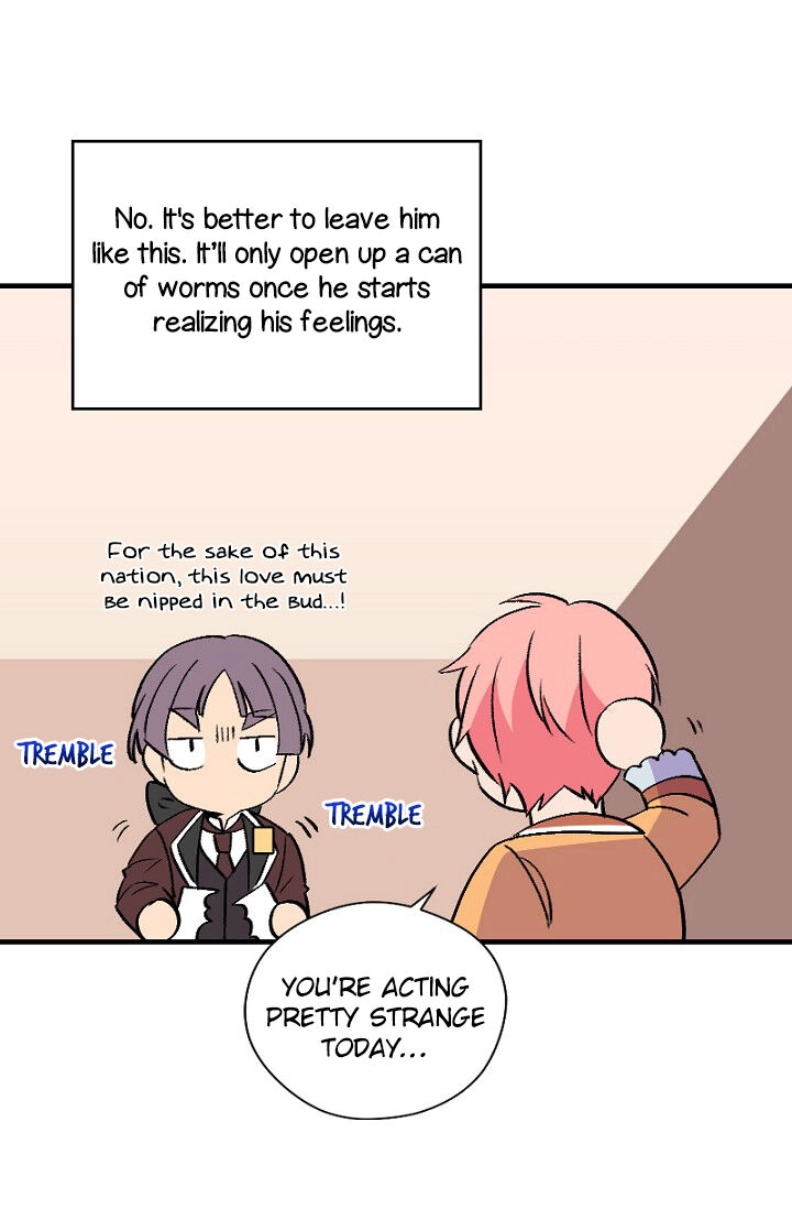 Emperor, Stay Here, Your Knight