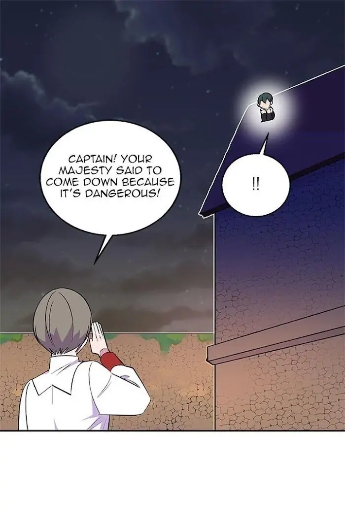 Emperor, Stay Here, Your Knight