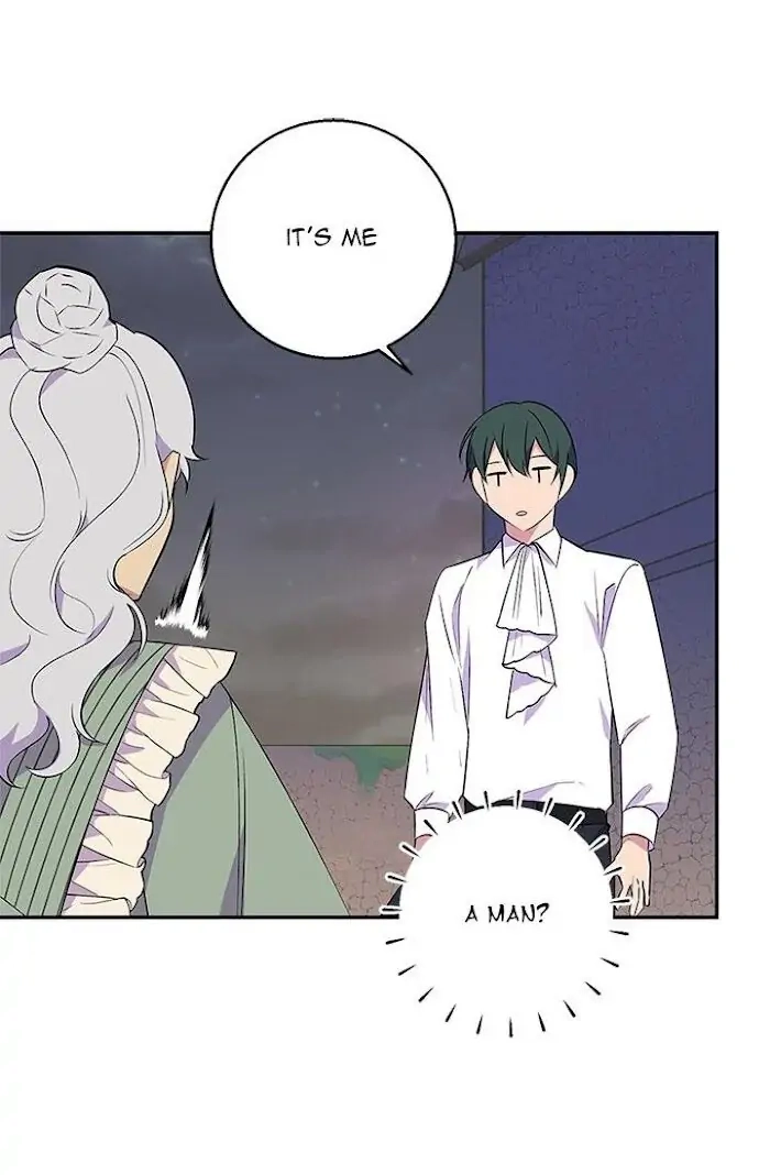 Emperor, Stay Here, Your Knight
