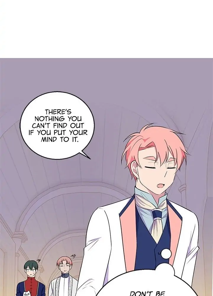 Emperor, Stay Here, Your Knight