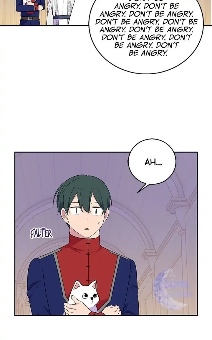 Emperor, Stay Here, Your Knight